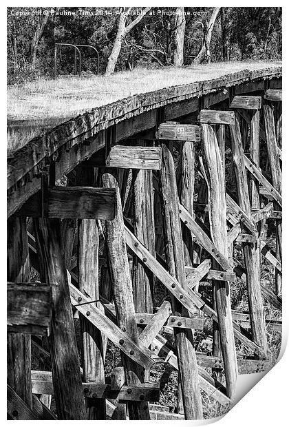 Trestle Bridge Print by Pauline Tims