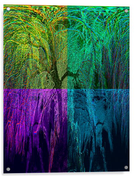 ARTERIAL TREE Acrylic by Robert Happersberg