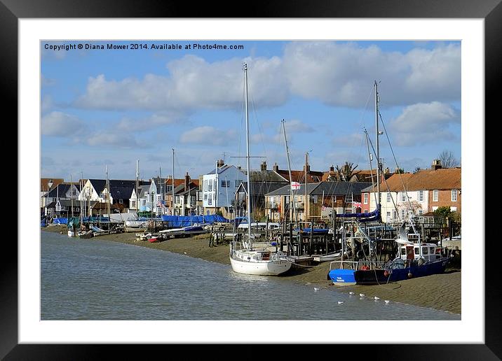 Wivenhoe Essex  Framed Mounted Print by Diana Mower