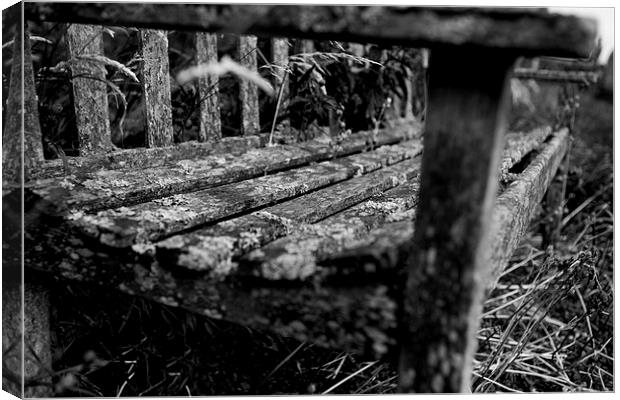 Cemetery bench Canvas Print by David Hare