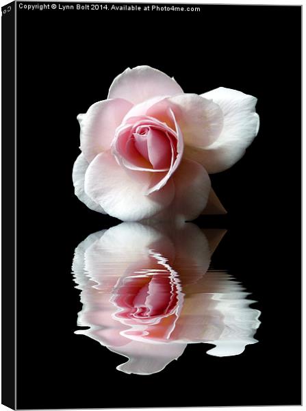 Reflections of a Rose Canvas Print by Lynn Bolt