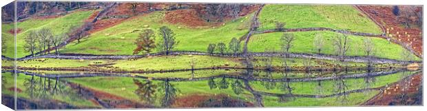 Rydal Water Abstract Canvas Print by Jamie Green