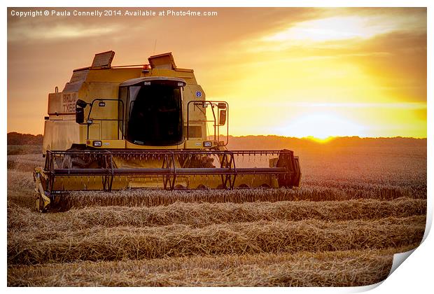 Harvesting at sunset Print by Paula Connelly