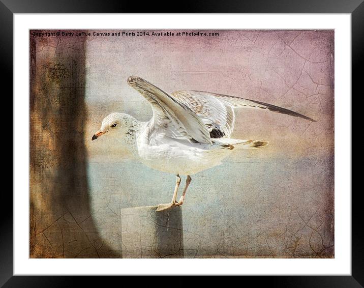 The Landing Framed Mounted Print by Betty LaRue