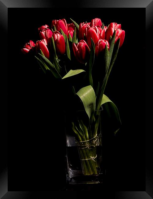 Red tulips in the vase Framed Print by Laco Hubaty