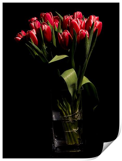 Red tulips in the vase Print by Laco Hubaty