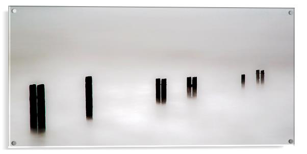 Poles Apart Acrylic by Karen Crawford