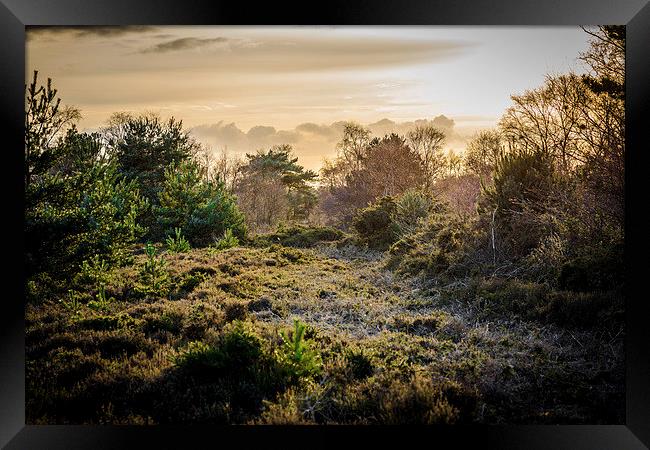 Hazy Sunset Over Kelling Heath Framed Print by matthew  mallett