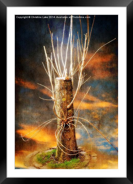 Reach for the Sky Framed Mounted Print by Christine Lake