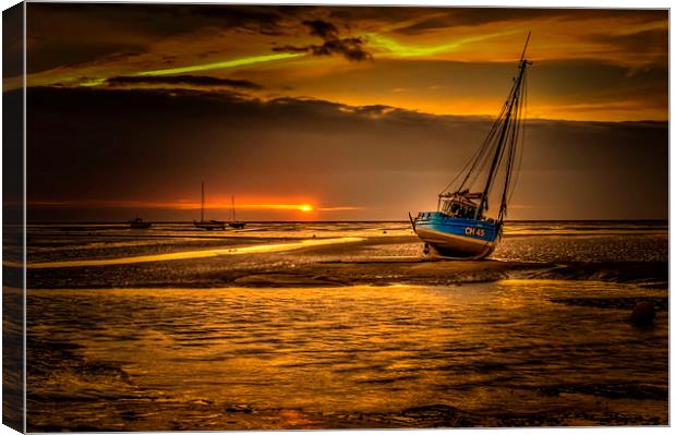 Golden Sunset Canvas Print by Mike Janik