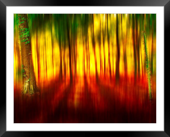 Dreamscape1 Framed Mounted Print by Mike Janik