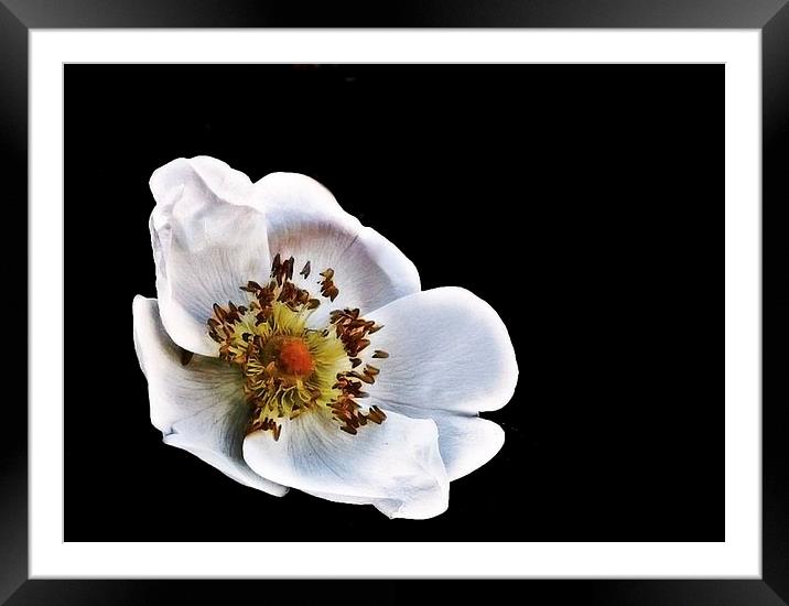 Simple as Framed Mounted Print by michelle whitebrook