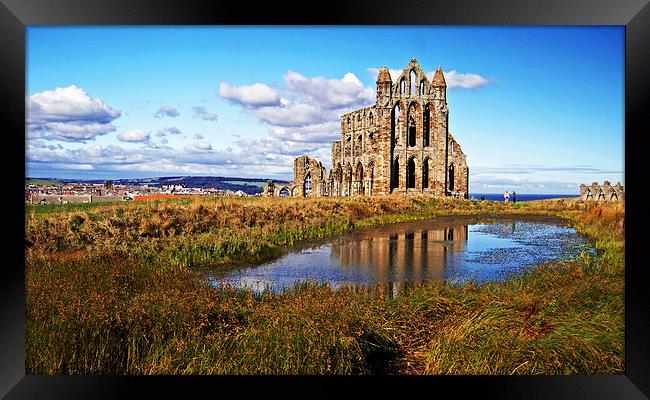 Abbey Ruins Framed Print by Joyce Storey