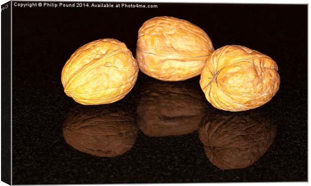 Walnuts Canvas Print by Philip Pound
