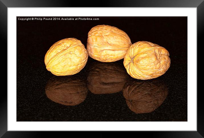 Walnuts Framed Mounted Print by Philip Pound