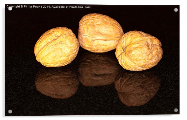 Walnuts Acrylic by Philip Pound
