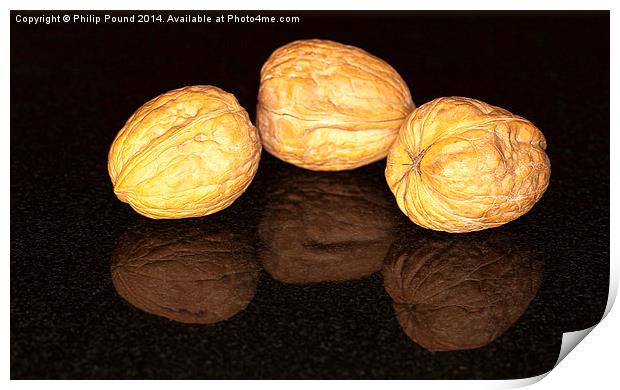 Walnuts Print by Philip Pound