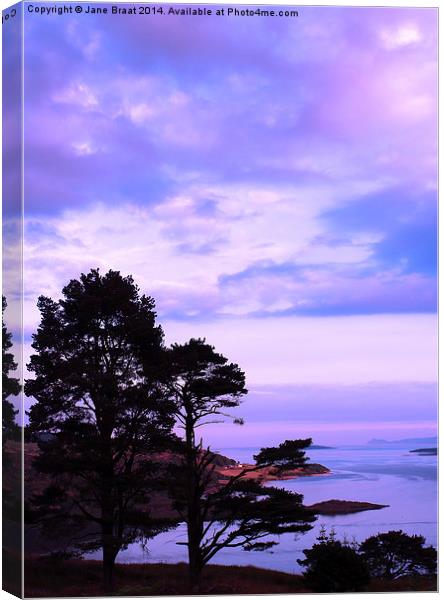 The Kyles of Bute (Tighnabruaich Viewpoint) Canvas Print by Jane Braat