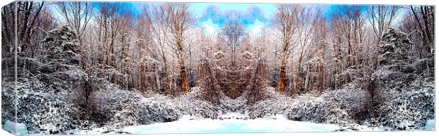 Revised and Equalized Snowscene Canvas Print by james balzano, jr.
