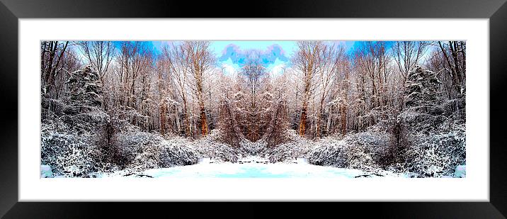 Revised and Equalized Snowscene Framed Mounted Print by james balzano, jr.