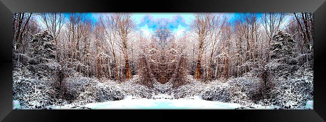 Revised and Equalized Snowscene Framed Print by james balzano, jr.