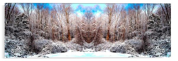 Revised and Equalized Snowscene Acrylic by james balzano, jr.