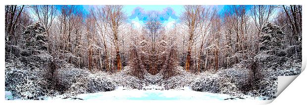 Revised and Equalized Snowscene Print by james balzano, jr.