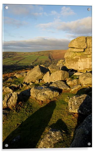 Bonehill rocks on Dartmoor Acrylic by Pete Hemington