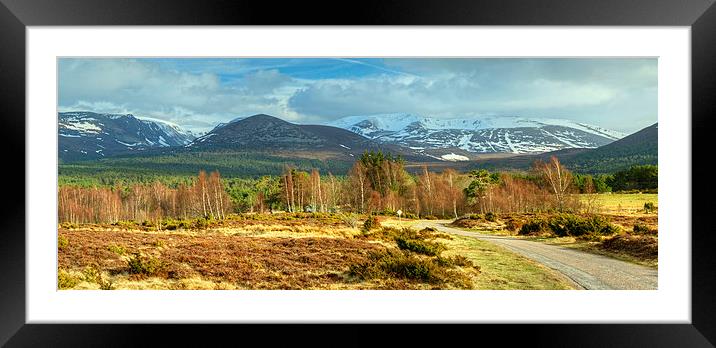 Spring In The Cairngorms Framed Mounted Print by Jamie Green