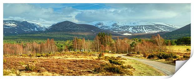 Spring In The Cairngorms Print by Jamie Green