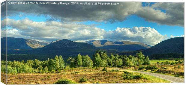 Summer In The Cairngorms Canvas Print by Jamie Green
