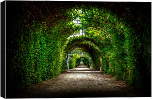Dream pathway Canvas Print by stewart oakes