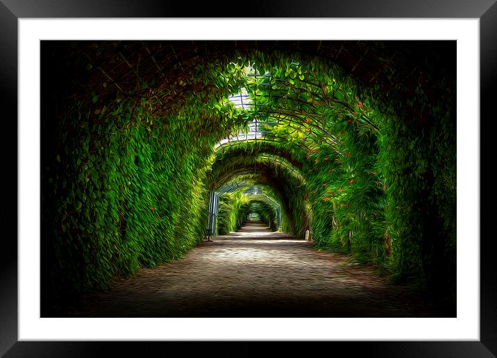 Dream pathway Framed Mounted Print by stewart oakes