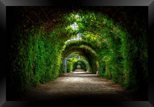 Dream pathway Framed Print by stewart oakes