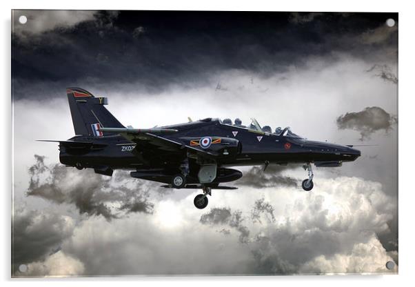 Hawk Approach Acrylic by J Biggadike