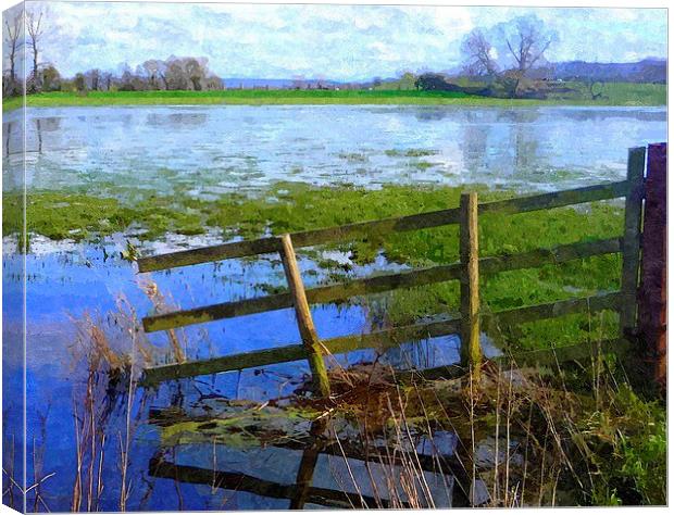 Flooding on the Somerset Levels Canvas Print by Paula Palmer canvas