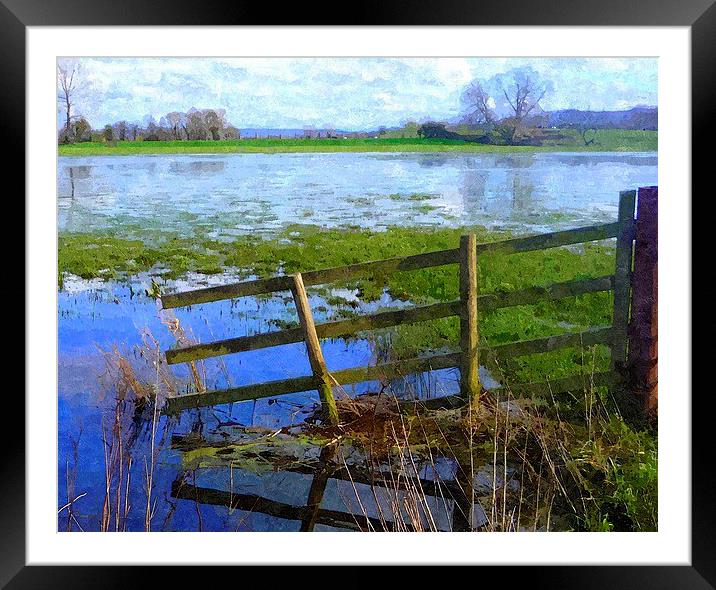 Flooding on the Somerset Levels Framed Mounted Print by Paula Palmer canvas