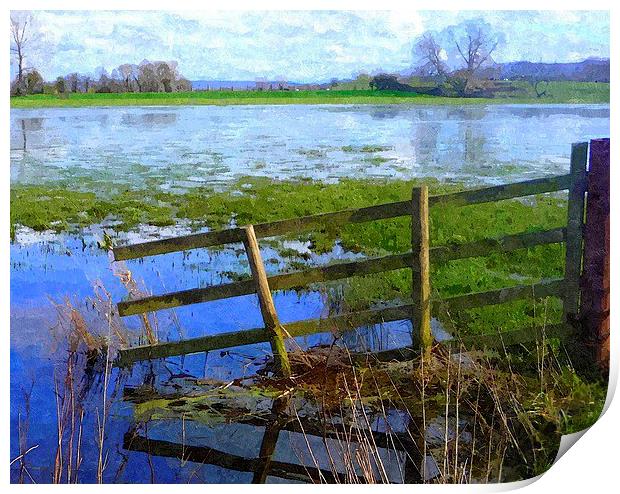 Flooding on the Somerset Levels Print by Paula Palmer canvas