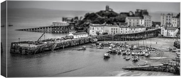 Tenby harbour in miniature Canvas Print by stewart oakes