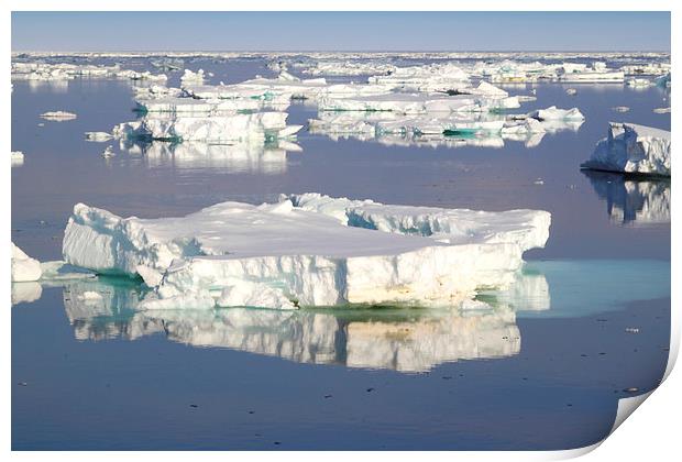 Ice Floes in the Bransfield Straight Antarctica Print by Carole-Anne Fooks