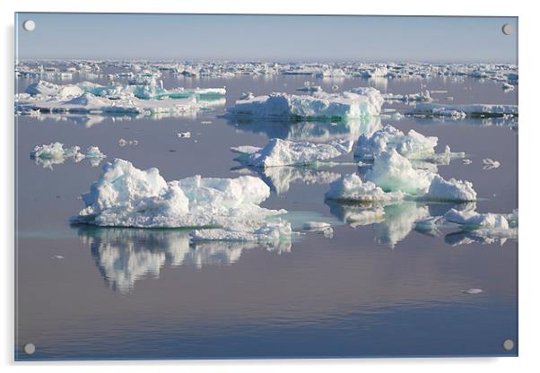 Ice Floes in the Bransfield Straight Antarctica Acrylic by Carole-Anne Fooks