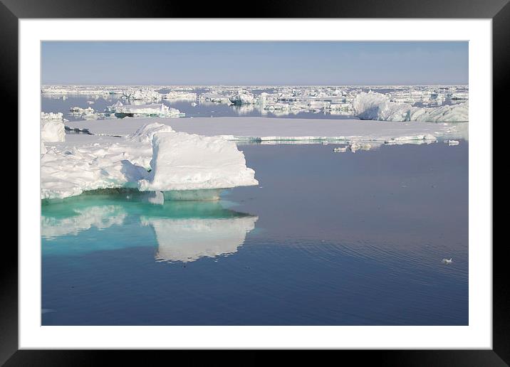 Ice Floes in the Bransfield Straight Antarctica Framed Mounted Print by Carole-Anne Fooks