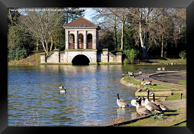 Geese swimming, Boat House in the background Framed Print by Frank Irwin