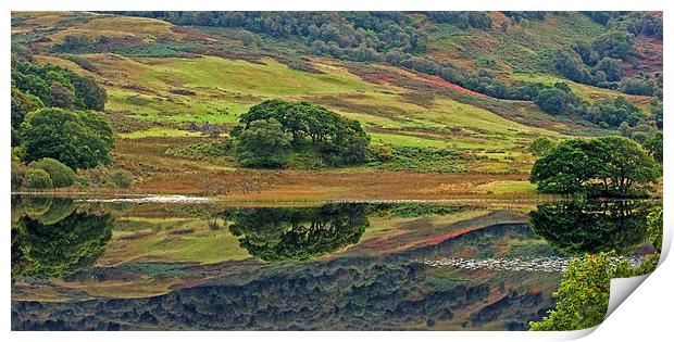 Green Reflections Print by Joyce Storey