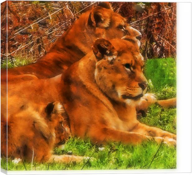 the family Canvas Print by sue davies