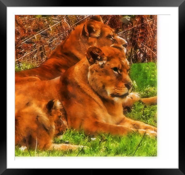 the family Framed Mounted Print by sue davies