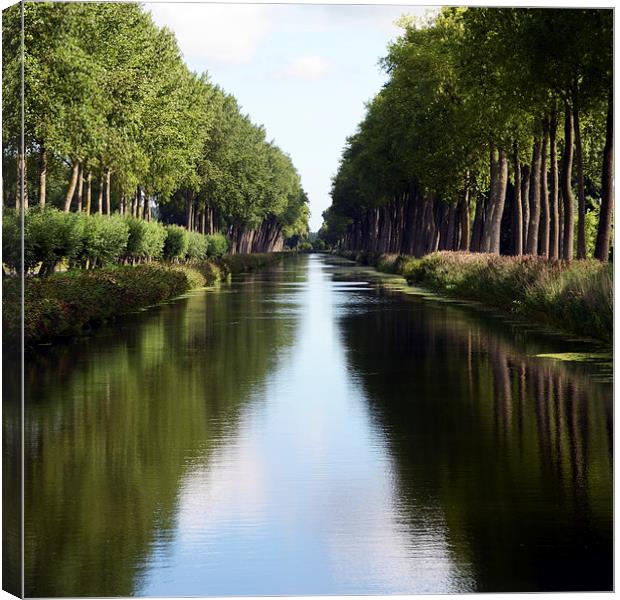 Damme Canal Relection Canvas Print by Carolyn Eaton