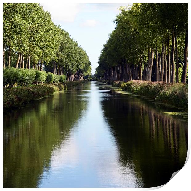 Damme Canal Relection Print by Carolyn Eaton
