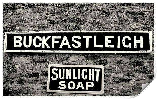 Buckfastleigh Station Sign Print by Peter F Hunt
