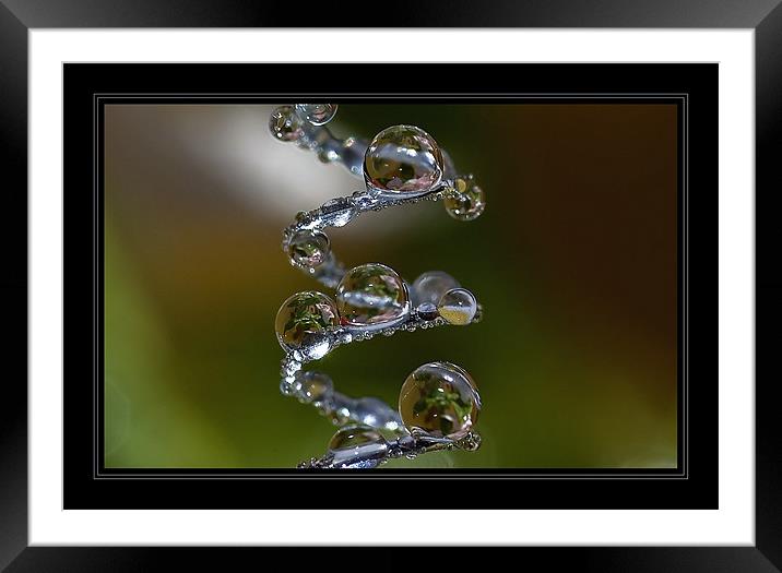 SPIRAL-2 Framed Mounted Print by Jovan Miric